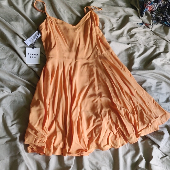 Aritzia Talula Lipinski dress in Clove - Picture 7 of 7